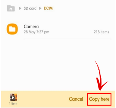 copy status own folder